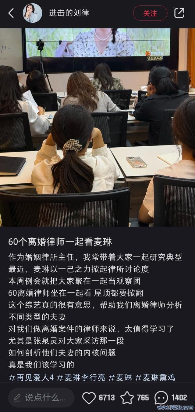 60个分手讼师把麦琳当典型研讨